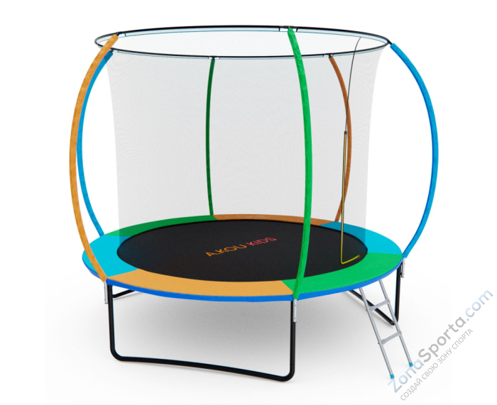 Батут с сеткой DFC A.KOU Kids 10ft с лестницей