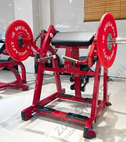 Бицепс сидя на свободных весах Realleader LD-1005 (HSPro-1005)