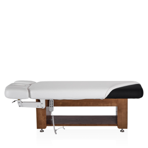 Электрический стационарный массажный стол Mizomed Alexander A-Salon