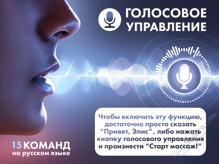 Массажное кресло Fujimo Flexor Business Edition Grey