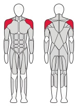 Тренажер Дельта машина Fitex FTX-6203