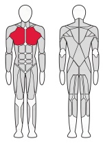 Тренажер Жим от груди горизонтальный  Fitex FTX-6902 