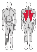 Тренажер Рычажная тяга Fitex FTX-6904