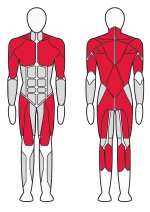 Рамка для приседаний Fitex Pro Optima FTX-8901