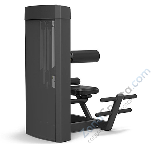 Разгибание спины Spirit SP-4310