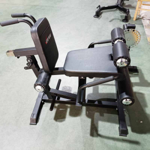 Сгибание/разгибание ног - спина - пресс Vertex FT-3036