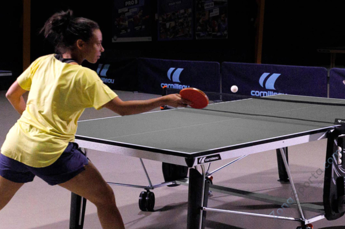 Теннисный стол Cornilleau 500 Indoor Grey