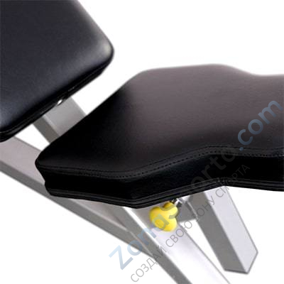 Тяга Дориана Ятса на свободных весах Protrain SM781