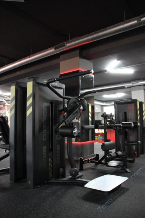 Тренажер для ягодичных мышц стоя (мульти-хип) Hasttings Digger HD017-1