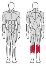 Тренажер Голень стоя Fitex FTX-82019 