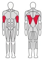 Тренажер Тяга вниз спереди Fitex FTX-82004 