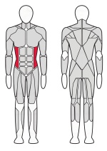 Твистер машина Fitex Pro FTX-7319