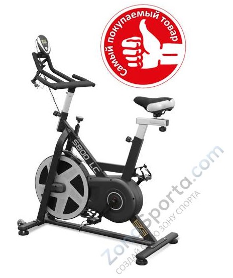 Bronze Gym Bronze Gym